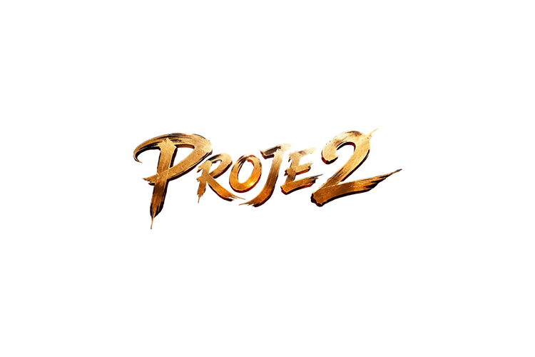 Proje2